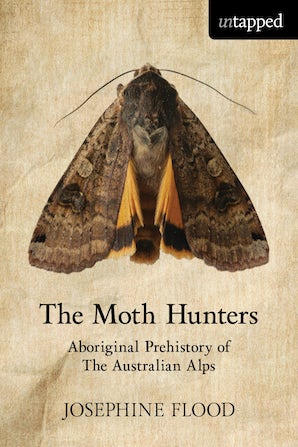 The Moth Hunters